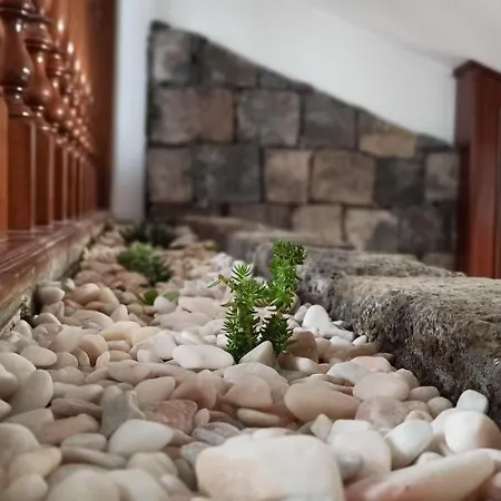 Dutra's House 別荘