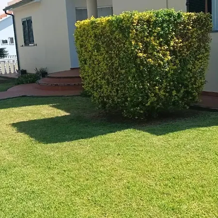 Dom wakacyjny Dutra's House